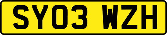SY03WZH