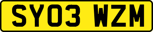 SY03WZM