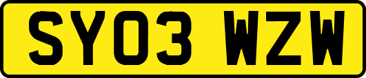 SY03WZW