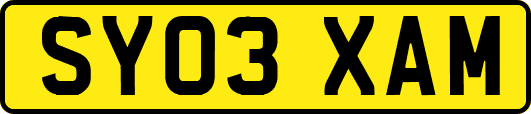 SY03XAM