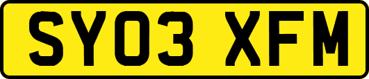 SY03XFM