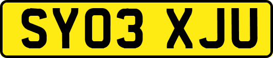 SY03XJU