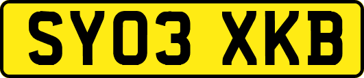 SY03XKB