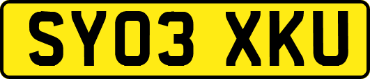 SY03XKU
