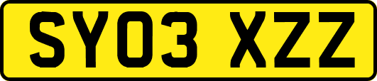 SY03XZZ