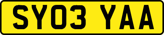 SY03YAA
