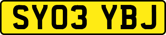 SY03YBJ