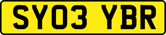 SY03YBR