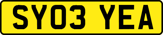SY03YEA