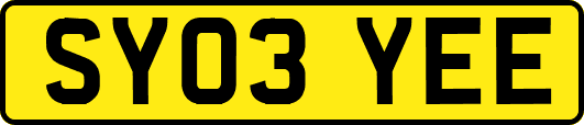 SY03YEE