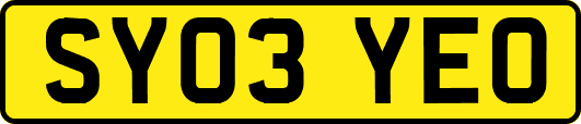 SY03YEO