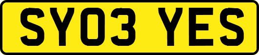 SY03YES