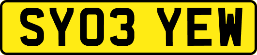 SY03YEW