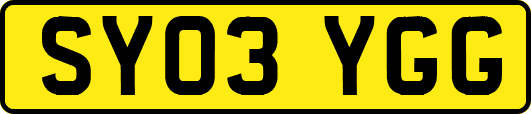 SY03YGG