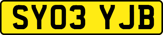 SY03YJB