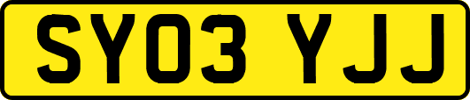 SY03YJJ