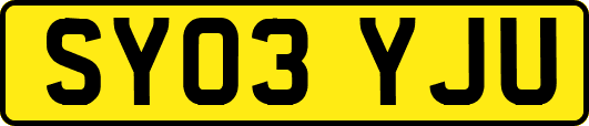 SY03YJU
