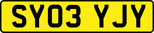 SY03YJY