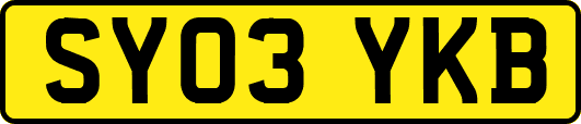 SY03YKB