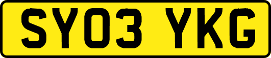 SY03YKG