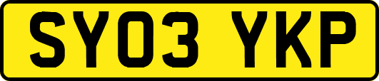SY03YKP