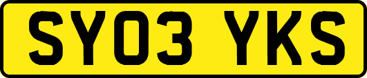 SY03YKS