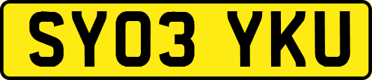 SY03YKU