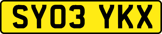 SY03YKX