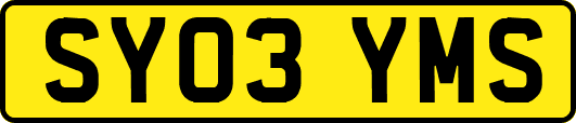 SY03YMS