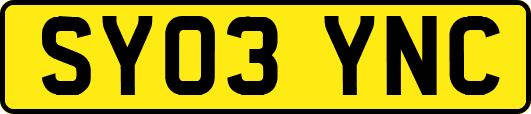 SY03YNC