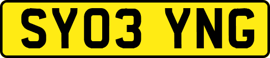 SY03YNG
