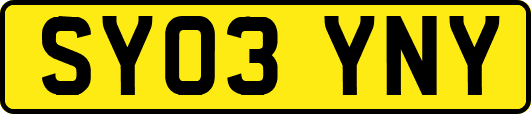 SY03YNY