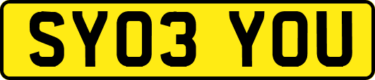 SY03YOU