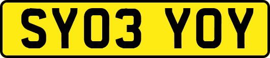 SY03YOY