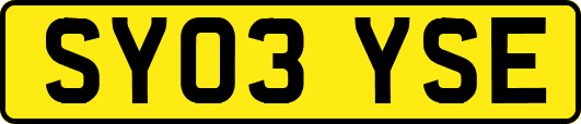 SY03YSE