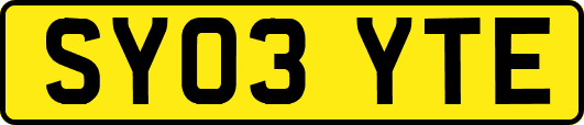 SY03YTE