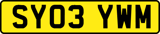 SY03YWM