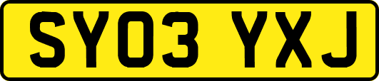 SY03YXJ