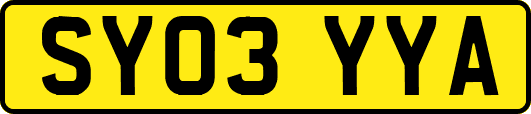 SY03YYA