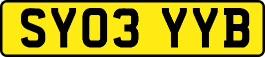 SY03YYB
