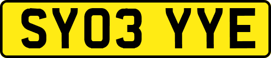 SY03YYE