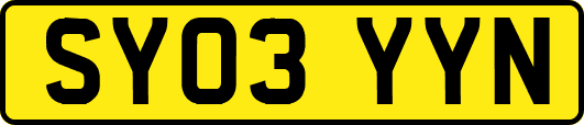 SY03YYN
