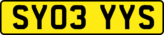 SY03YYS