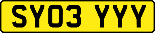 SY03YYY