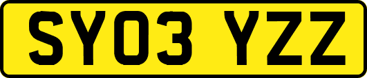 SY03YZZ