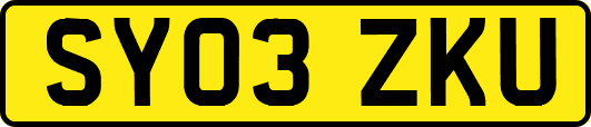 SY03ZKU