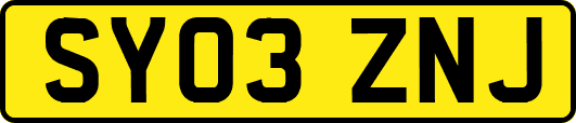 SY03ZNJ