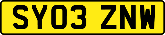 SY03ZNW