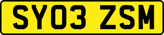 SY03ZSM
