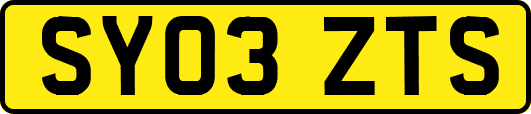 SY03ZTS